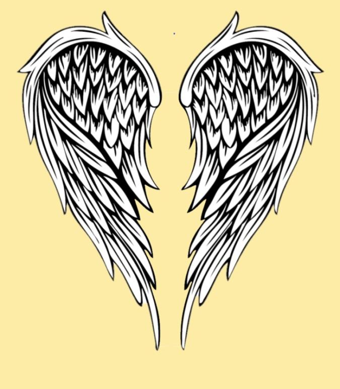 The Angel Baby