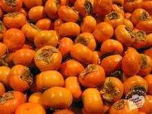 persimmons